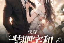 桑泠完整版小说《快穿：装肥宅和男主网恋后》免费阅读-推书机