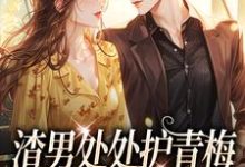 小说《渣男处处护青梅，重生改嫁他急了》章节免费阅读-推书机