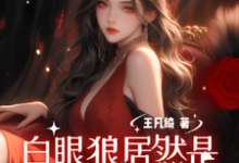 完整版《穿越八零：白眼狼居然是我养姐》小说免费阅读-推书机