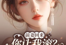 求前妻回来,你让我滚?和竹马领证小说免费资源-推书机