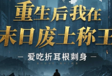 哪里能找到重生后我在末日废土称王小说的全部章节?-推书机
