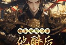 完结版《救朱元璋全家,他醉后收我当儿子!》章节阅读-推书机