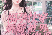 免费在线阅读福孕快穿:娇娇被男主过度宠爱小说的正规网站有哪些?-推书机