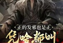 陆风小说正的发邪也是正,凭啥都叫我魔头章节免费阅读-推书机