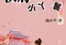 已完结小说《侯府小丫鬟》在线章节阅读-推书机