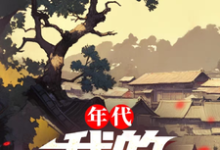 在线寻找年代:我的1978小说的无删减版本-推书机