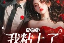 在线免费阅读离婚后,我粘上了那位大佬完整小说-推书机