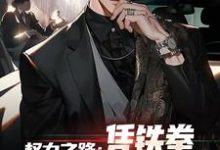 《权力之路：凭铁拳，我令黑势力退避》步青云完整版小说免费阅读-推书机