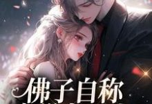 佛子自称空巢老男人？我真的笑了这本小说怎么样？免费在线阅读试试-推书机