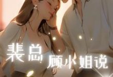 裴总,顾小姐说不爱了小说全文阅读需要付费吗?寻找免费资源-推书机