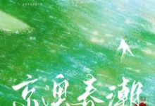 完整版小说《京澳春潮》免费阅读-推书机