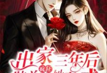 许初颜陆瑾州小说叫什么(出家三年后,陆总疯狂诱她破戒完整版免费阅读)-推书机