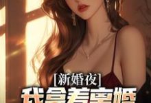 新婚夜，我拿着离婚协议黯然离场叶修远白若雪，新婚夜，我拿着离婚协议黯然离场在线无弹窗阅读-推书机