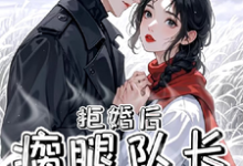 完结版《拒婚后,瘸腿队长洗床单》在线免费阅读-推书机