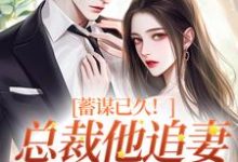 蓄谋已久！总裁他追妻套路为零完整版小说，蓄谋已久！总裁他追妻套路为零免费阅读-推书机