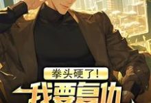 叶白小说免费阅读完整版-推书机