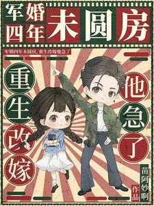 沈璐小说军婚四年未圆房，重生改嫁他急了章节免费阅读