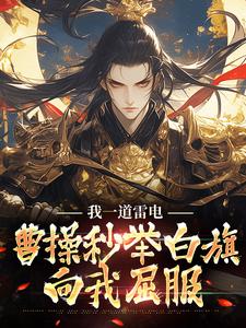 完结版《我一道雷电，曹操秒举白旗向我屈服》在线免费阅读