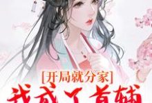 《开局就分家,我成了首辅家的锦鲤妻》小说免费阅读完整版-推书机