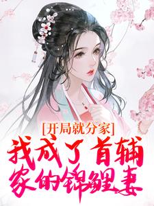 《开局就分家，我成了首辅家的锦鲤妻》小说免费阅读完整版