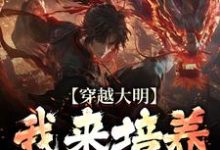 穿越大明:我来培养一代帝王小说的最新章节在哪里更新?免费追踪阅读-推书机