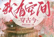 高影儿小说长姐换亲，随便！我有空间穿古今在线阅读章节-推书机