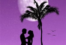 苏天顾夏盈禾小说免费阅读完整版-推书机