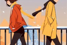 当时浮光旧影小说完结了吗？在哪里可以免费读到？-推书机