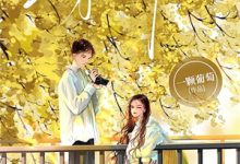 顾迟云云晚晚小说不好！这渣女要虐死了在线阅读章节-推书机