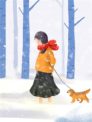 春风一断维港雪小说，春风一断维港雪免费阅读
